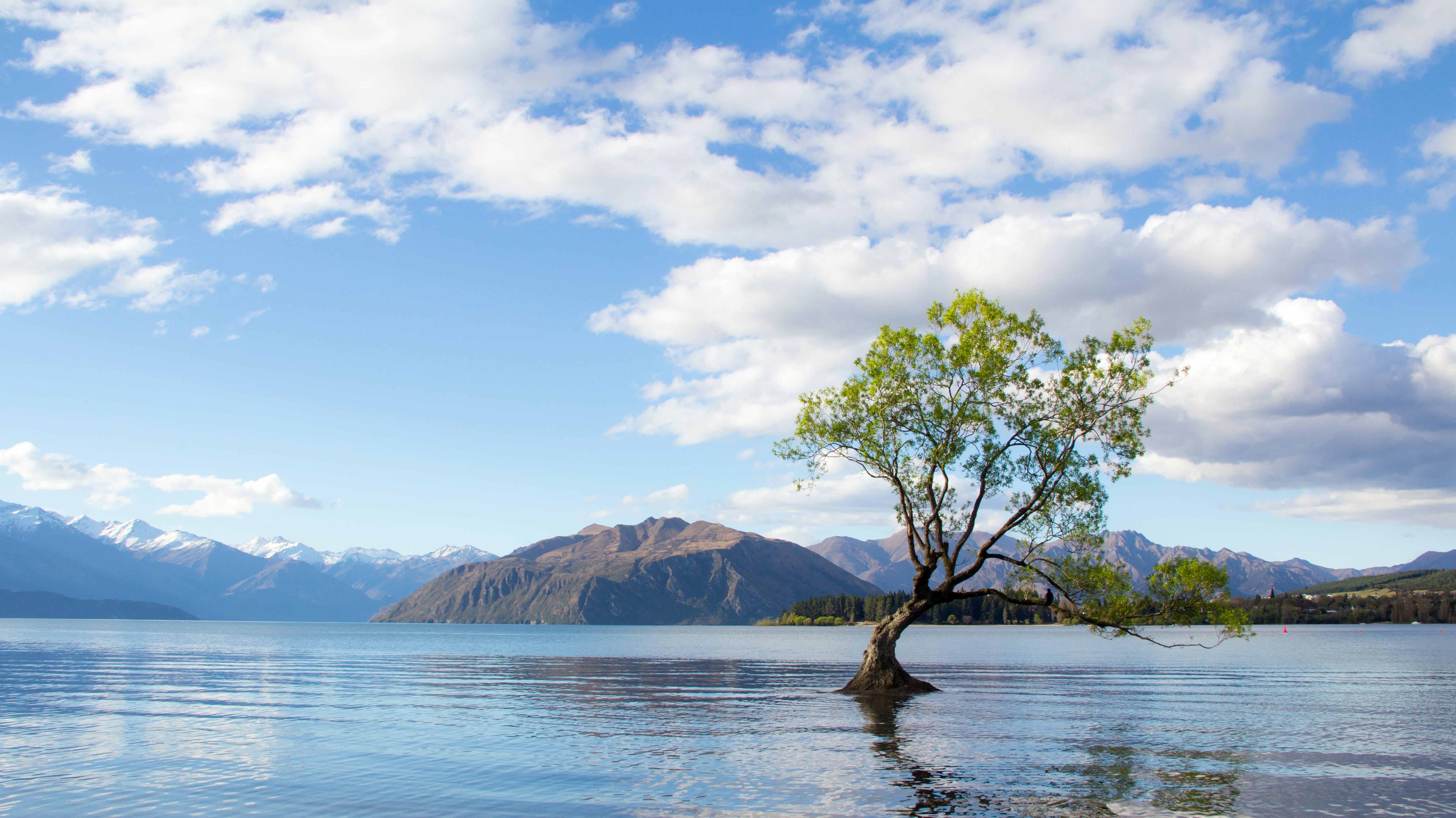 Lake wanaka Que ver en Nueva Zelanda